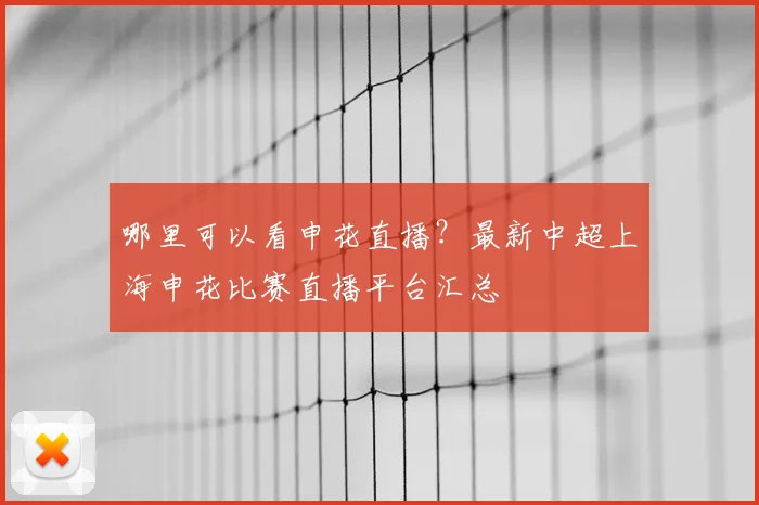 哪里可以看申花直播?最新中超上海申花比赛直播平台汇总