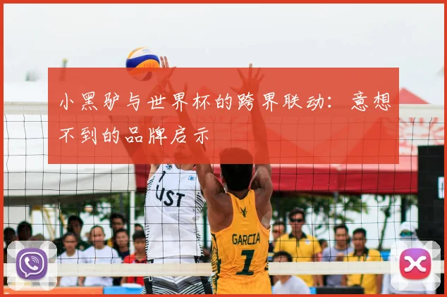 小黑驴与世界杯的跨界联动:意想不到的品牌启示
